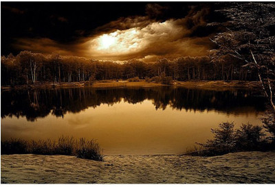 Nature poster collection of beautiful for room in home and office. Paper Print(18 inch X 12 inch, Rolled)
Nature poster collection of beautiful for room in home and office. Paper Print(18 inch X 12 inch, Rolled)