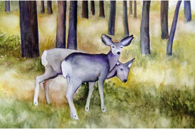Tallenge - Innocent Twin Mule Deer - A3 Size Premium Quality Rolled Poster Paper Print(16.5 inch X 11.7 inch, Rolled)
Tallenge - Innocent Twin Mule Deer - A3 Size Premium Quality Rolled Poster Paper Print(16.5 inch X 11.7 inch, Rolled)