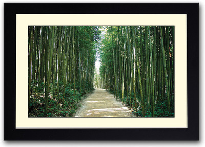 Bamboo Forest in korea Fine Art Print(14 inch X 20 inch, Framed) 
Bamboo Forest in korea Fine Art Print(14 inch X 20 inch, Framed)