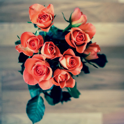 Roses - Medium Size Ready To Frame Rolled Digital Art Print On Photographic Paper(18 inch X 18 inch, Rolled)
Roses - Medium Size Ready To Frame Rolled Digital Art Print On Photographic Paper(18 inch X 18 inch, Rolled)