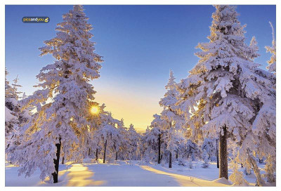 Pics and You Winter Season Themed 20 Vinyl Laptop Decal 15.6