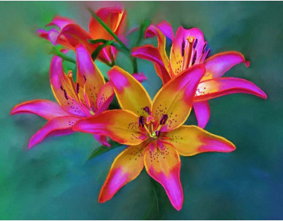 Pink Lilies in a Garden - Medium Size Ready To Frame Rolled Digital Art Print On Photographic Paper(24 inch X 18 inch, Rolled)
Pink Lilies in a Garden - Medium Size Ready To Frame Rolled Digital Art Print On Photographic Paper(24 inch X 18 inch, Rolled)