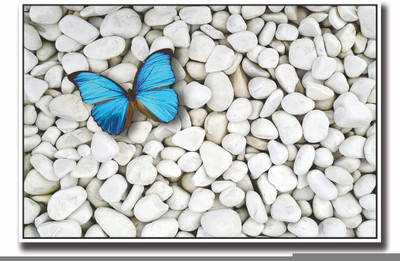 Posterhouzz Beautiful Blue butterfly on white stones Fine Art Print(12 inch X 18 inch, Rolled)
Posterhouzz Beautiful Blue butterfly on white stones Fine Art Print(12 inch X 18 inch, Rolled)