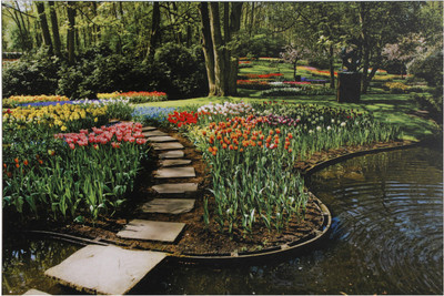 Bm Traders Beautiful Garden With Pond Unframed Wall Sticker Poster Big Fine Art Print(24 inch X 48 inch, Rolled)
Bm Traders Beautiful Garden With Pond Unframed Wall Sticker Poster Big Fine Art Print(24 inch X 48 inch, Rolled)