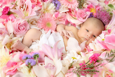 Posterhouzz Baby's Love - Baby sleeping with pink flowers Paper Print(12 inch X 18 inch, Rolled)
Posterhouzz Baby's Love - Baby sleeping with pink flowers Paper Print(12 inch X 18 inch, Rolled)