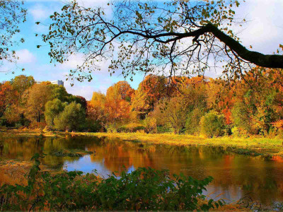 Posterhouzz Autumn Fine Art Print Poster Fine Art Print(12 inch X 18 inch, Rolled)
Posterhouzz Autumn Fine Art Print Poster Fine Art Print(12 inch X 18 inch, Rolled)