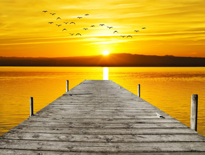 Nature Canvas Art(24 inch X 32 inch)