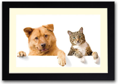 Cat and Dog Fine Art Print(14 inch X 20 inch, Framed)
