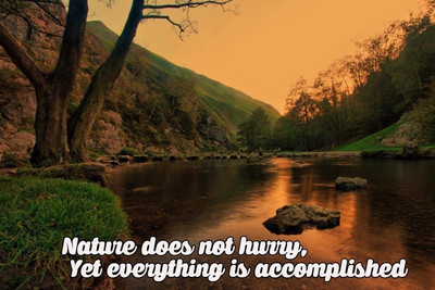 Posterhouzz Nature Does Not Hurry Poster Fine Art Print(12 inch X 18 inch, Rolled)
Posterhouzz Nature Does Not Hurry Poster Fine Art Print(12 inch X 18 inch, Rolled)