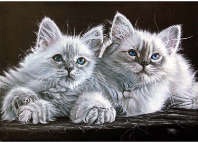 Tallenge - Two Best Friends - A3 Size Premium Quality Rolled Poster Paper Print(16.5 inch X 11.7 inch, Rolled)
Tallenge - Two Best Friends - A3 Size Premium Quality Rolled Poster Paper Print(16.5 inch X 11.7 inch, Rolled)