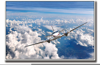 Posterhouzz Aeroplane in sky Fine Art Print(12 inch X 18 inch, Rolled)
