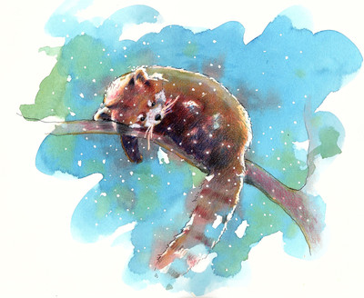 Art For Kids - Red Panda - Medium Size Rolled Digital Art Print On Photographic Paper(18 inch X 18 inch, Rolled)
Art For Kids - Red Panda - Medium Size Rolled Digital Art Print On Photographic Paper(18 inch X 18 inch, Rolled)