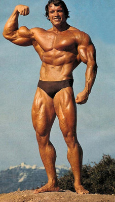 arnold schwarzenegger bodybuilding POSTER HD Wallpaper Background Fine Art Paper Fine Art Print(19 inch X 13 inch, Rolled)
arnold schwarzenegger bodybuilding POSTER HD Wallpaper Background Fine Art Paper Fine Art Print(19 inch X 13 inch, Rolled)