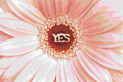 Posterhouzz Flower Fine Art Print Poster Fine Art Print(12 inch X 18 inch, Rolled)
Posterhouzz Flower Fine Art Print Poster Fine Art Print(12 inch X 18 inch, Rolled)