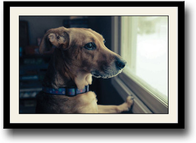 Dog Looking Out the Window Fine Art Print(10 inch X 14 inch, Framed)