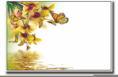 Posterhouzz Black and yellow butterflies Fine Art Print(12 inch X 18 inch, Rolled)
Posterhouzz Black and yellow butterflies Fine Art Print(12 inch X 18 inch, Rolled)