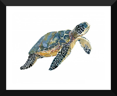 Tallenge Art For Kids - Swimming Sea Turtle - Premium Quality A3 Size Framed Poster Paper Print(17 inch X 12 inch, Framed)
Tallenge Art For Kids - Swimming Sea Turtle - Premium Quality A3 Size Framed Poster Paper Print(17 inch X 12 inch, Framed)