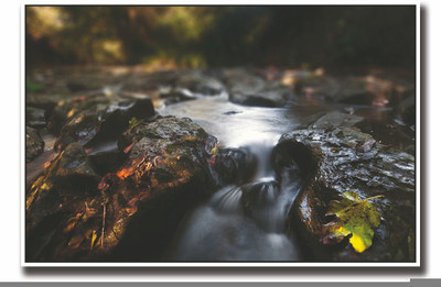 Posterhouzz Water flowing through rocks Fine Art Print(12 inch X 18 inch, Rolled)
Posterhouzz Water flowing through rocks Fine Art Print(12 inch X 18 inch, Rolled)