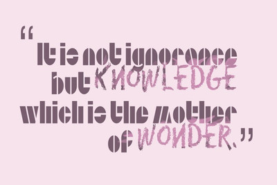 Posterhouzz Wonder Poster Fine Art Print(12 inch X 18 inch, Rolled)