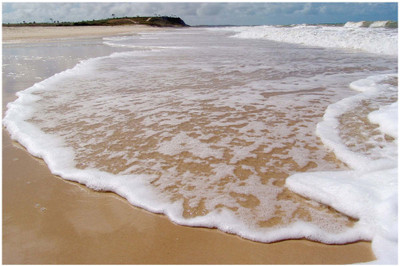 Tides The Beach Paper Print(12 inch X 18 inch, Rolled)