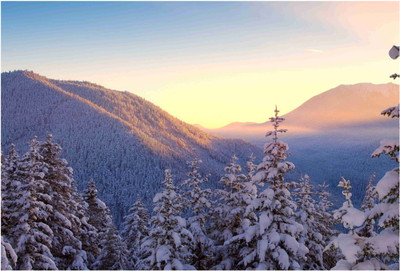 Nature Paper Print(19 inch X 13 inch, Rolled) 
Nature Paper Print(19 inch X 13 inch, Rolled)