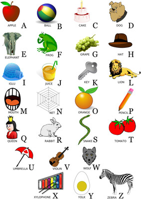 Oshi - Alphabets Chart with Examples Paper Print(18 inch X 12 inch, Streched)
Oshi - Alphabets Chart with Examples Paper Print(18 inch X 12 inch, Streched)