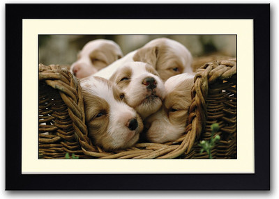 Cute Puppies In Basket Fine Art Print(14 inch X 20 inch, Framed)