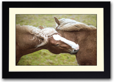Two Horses Fine Art Print(14 inch X 20 inch, Framed)