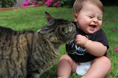 Posterhouzz Cute Baby Playing with Cat Photographic Paper(12 inch X 18 inch, Rolled)
Posterhouzz Cute Baby Playing with Cat Photographic Paper(12 inch X 18 inch, Rolled)