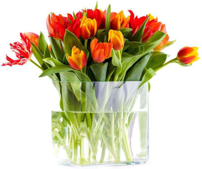 FLOWER POT POSTER HD Wallpaper Background Fine Art Paper DECORATION Fine Art Print(19 inch X 13 inch, Rolled)
FLOWER POT POSTER HD Wallpaper Background Fine Art Paper DECORATION Fine Art Print(19 inch X 13 inch, Rolled)