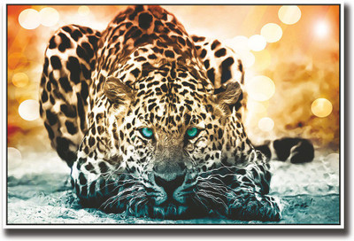 Tiger with blue eyes Fine Art Print(12 inch X 18 inch, Rolled)