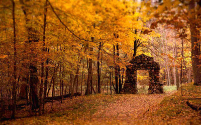 Posterhouzz Autumn Fine Art Print Poster Fine Art Print(12 inch X 18 inch, Rolled)
Posterhouzz Autumn Fine Art Print Poster Fine Art Print(12 inch X 18 inch, Rolled)