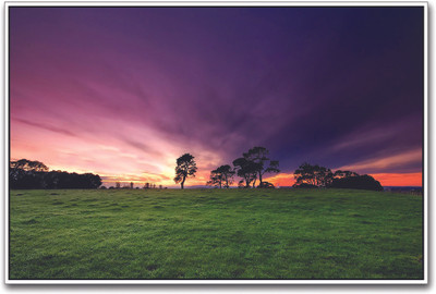 Green Field Paper Print(12 inch X 18 inch)