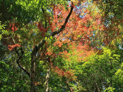 Posterhouzz Autumn Fine Art Print Poster Fine Art Print(12 inch X 18 inch, Rolled)
Posterhouzz Autumn Fine Art Print Poster Fine Art Print(12 inch X 18 inch, Rolled)