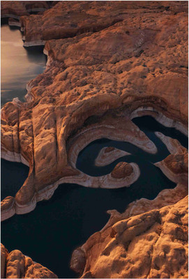 Nature Paper Print(19 inch X 13 inch, Rolled)