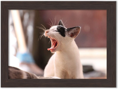 Talking Cats Nature Themed Framed Poster Photographic Paper(13.5 inch X 10 inch, Box Packing)
Talking Cats Nature Themed Framed Poster Photographic Paper(13.5 inch X 10 inch, Box Packing)