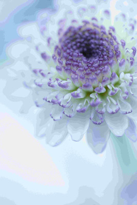Posterhouzz Flower Fine Art Print Poster Fine Art Print(18 inch X 12 inch, Rolled)
Posterhouzz Flower Fine Art Print Poster Fine Art Print(18 inch X 12 inch, Rolled)