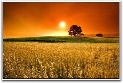 Beautiful farm Paper Print(12 inch X 18 inch)