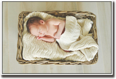 Posterhouzz Baby sleeping cutely in basket Fine Art Print(12 inch X 18 inch, Rolled)
Posterhouzz Baby sleeping cutely in basket Fine Art Print(12 inch X 18 inch, Rolled)
