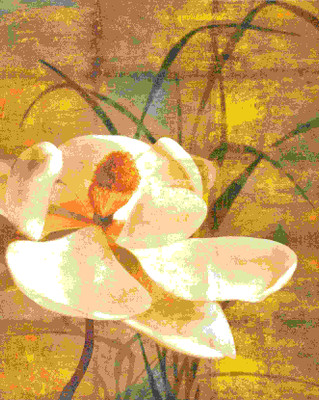 Posterhouzz Abstract Fine Art Print Poster Fine Art Print(18 inch X 12 inch, Rolled)