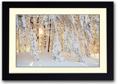 Heavy Snow on Trees Fine Art Print(14 inch X 20 inch, Framed)