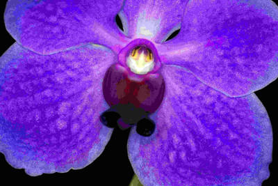 Posterhouzz Flower Fine Art Print Poster Fine Art Print(12 inch X 18 inch, Rolled)
Posterhouzz Flower Fine Art Print Poster Fine Art Print(12 inch X 18 inch, Rolled)