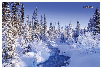Pics and You Winter Season Themed 114 Vinyl Laptop Decal 15.6