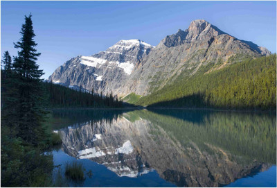 Nature Paper Print(19 inch X 13 inch, Rolled)
Nature Paper Print(19 inch X 13 inch, Rolled)