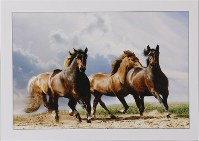 Bm Traders Beautiful 3 Horses Unframed Wall Sticker Poster Big Fine Art Print(24 inch X 48 inch, Rolled)
Bm Traders Beautiful 3 Horses Unframed Wall Sticker Poster Big Fine Art Print(24 inch X 48 inch, Rolled)