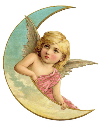 Tallenge - Christmas Art - Angel MoOn Photographic Paper(24 inch X 22 inch, Rolled)
Tallenge - Christmas Art - Angel MoOn Photographic Paper(24 inch X 22 inch, Rolled)