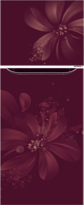 LG 255 L Frost Free Double Door 3 Star Refrigerator(Scarlet Aster, GL-Q282SSAM)
LG 255 L Frost Free Double Door 3 Star Refrigerator(Scarlet Aster, GL-Q282SSAM)
