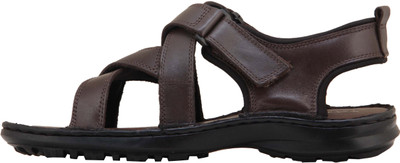 Ventoland Men Brown Sandals
Ventoland Men Brown Sandals