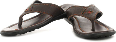 Lee Cooper Men Brown Casual