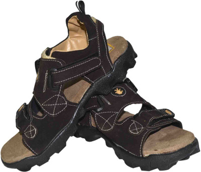 Strive Men Brown Casual